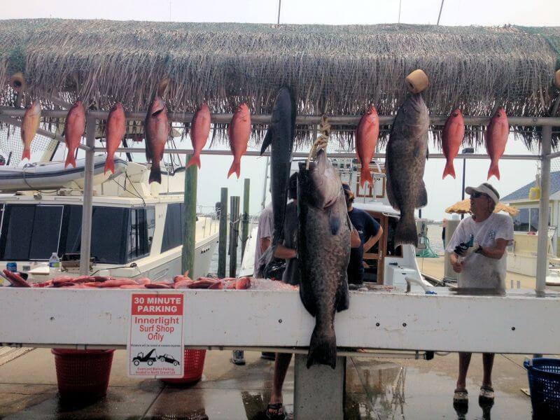 Deep Sea fishing on the Total Package charter boat in Pensacola Beach Florida - Pensacola Charter boat fishing