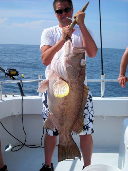 Bottom Fishing for Giant Groupers 