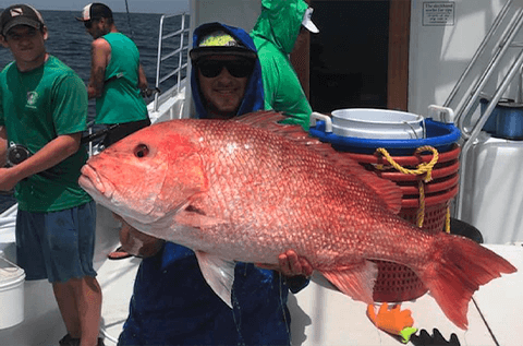 Giant Red Snapper Deep sea Pensacola Beach Fishing charters charter boat Total Package