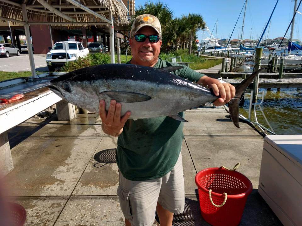 Blackfin tuna fishing off Pensacola Beach Florida on charter boat Total Package for deep sea fishing charters - Pensacola Charter boat fishing